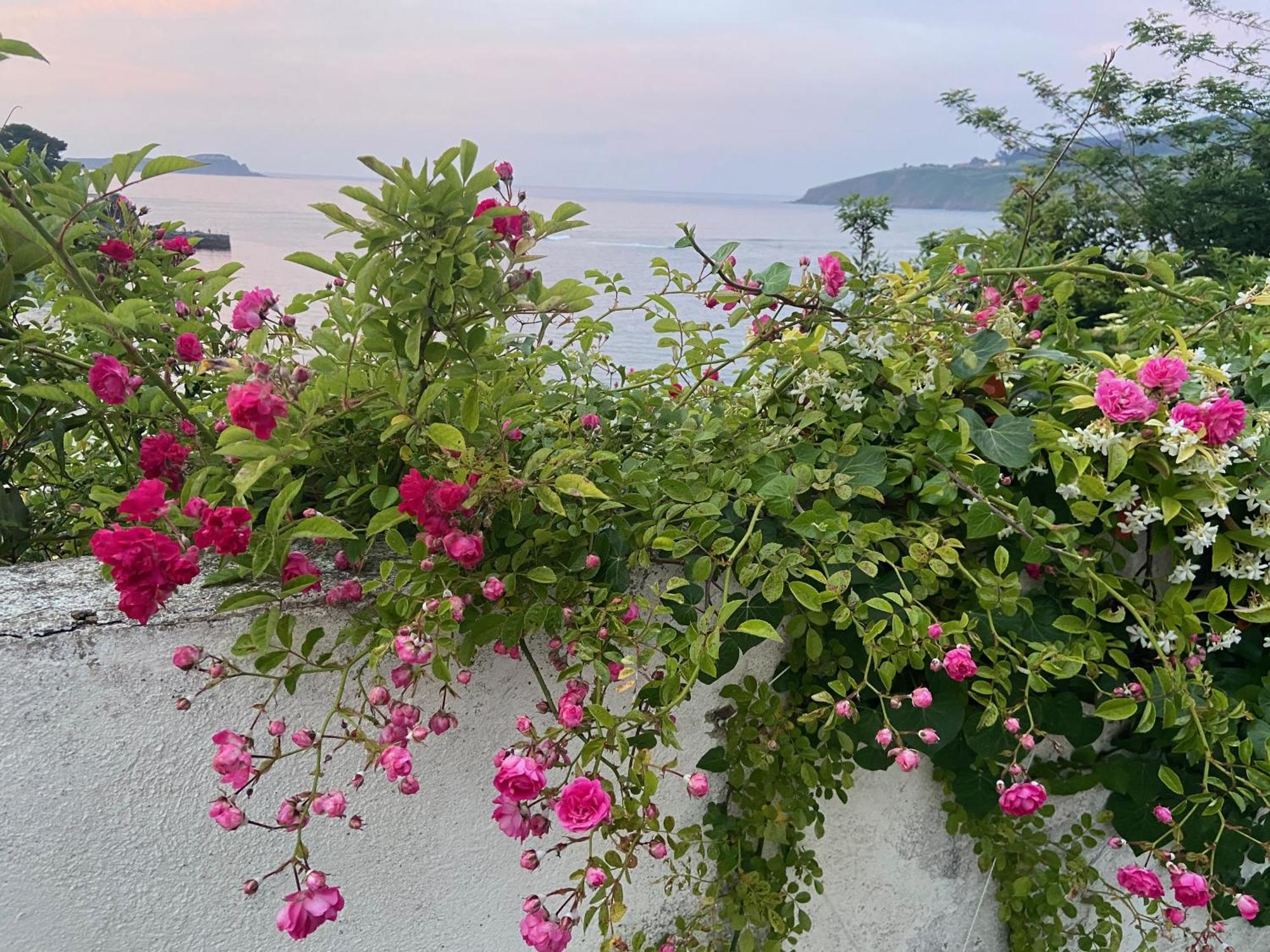 Mundaka Beachfront House Exterior foto