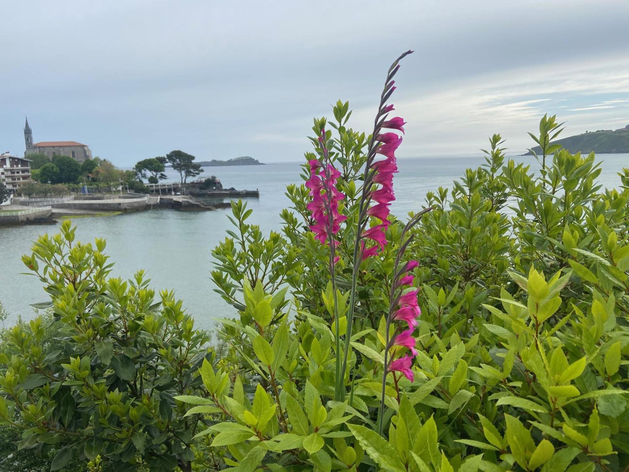 Mundaka Beachfront House Exterior foto