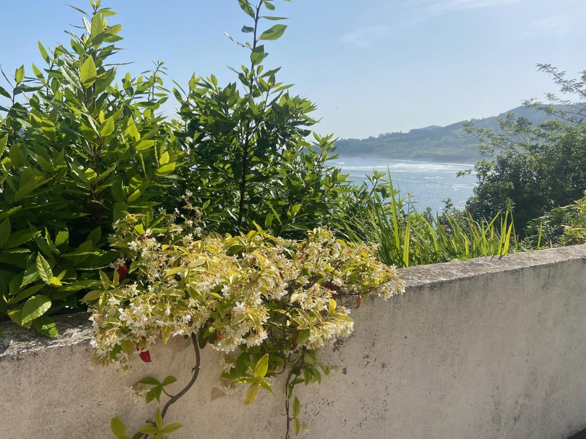 Mundaka Beachfront House Exterior foto